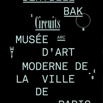 Circuits - Bertille Bak (c) musée d'Art moderne de la Ville de Paris / Paris Musées